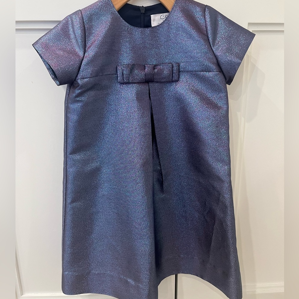 Carolina Zapf purple shimmer dress